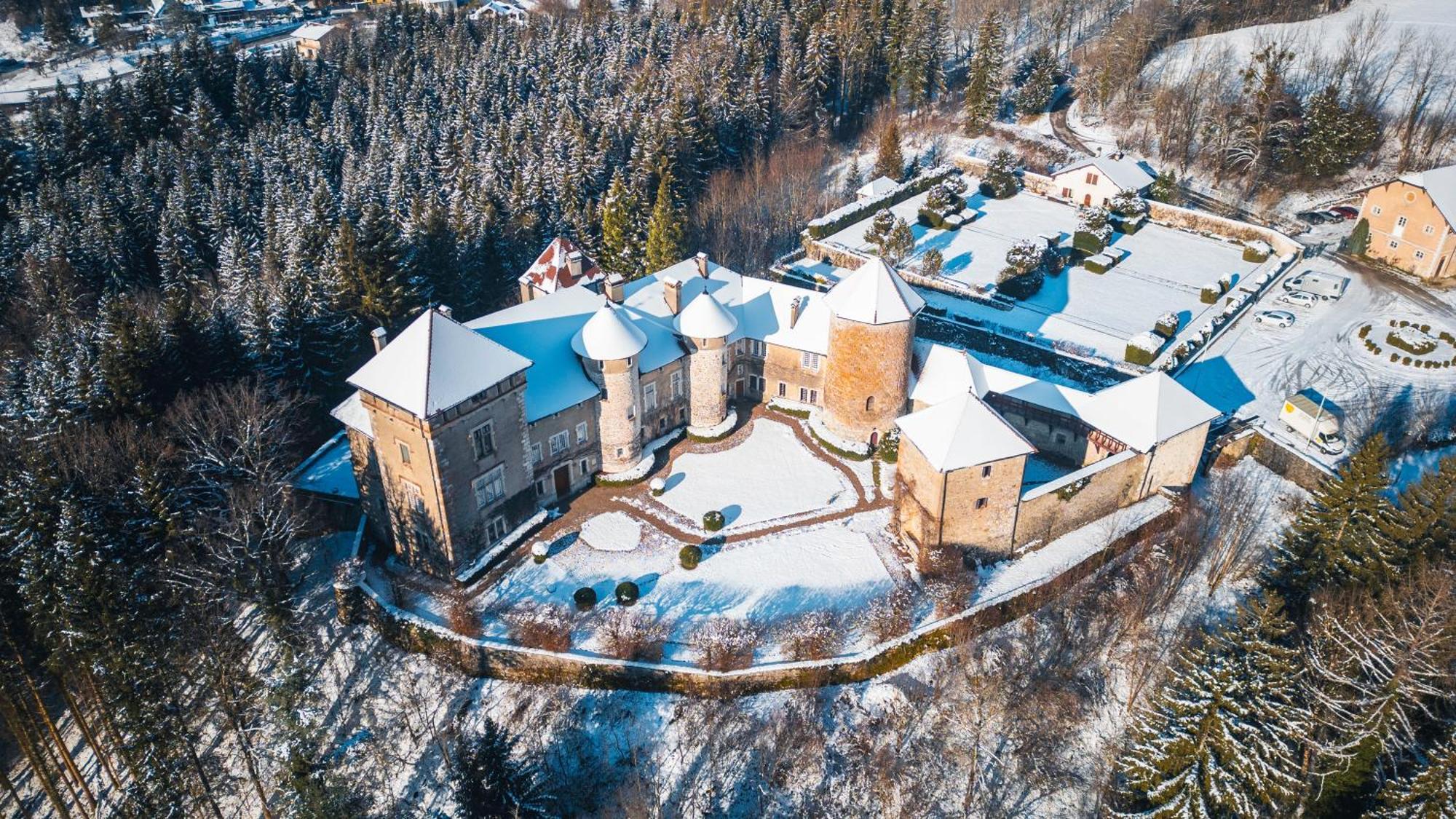Chateau De Thorens Esterno foto