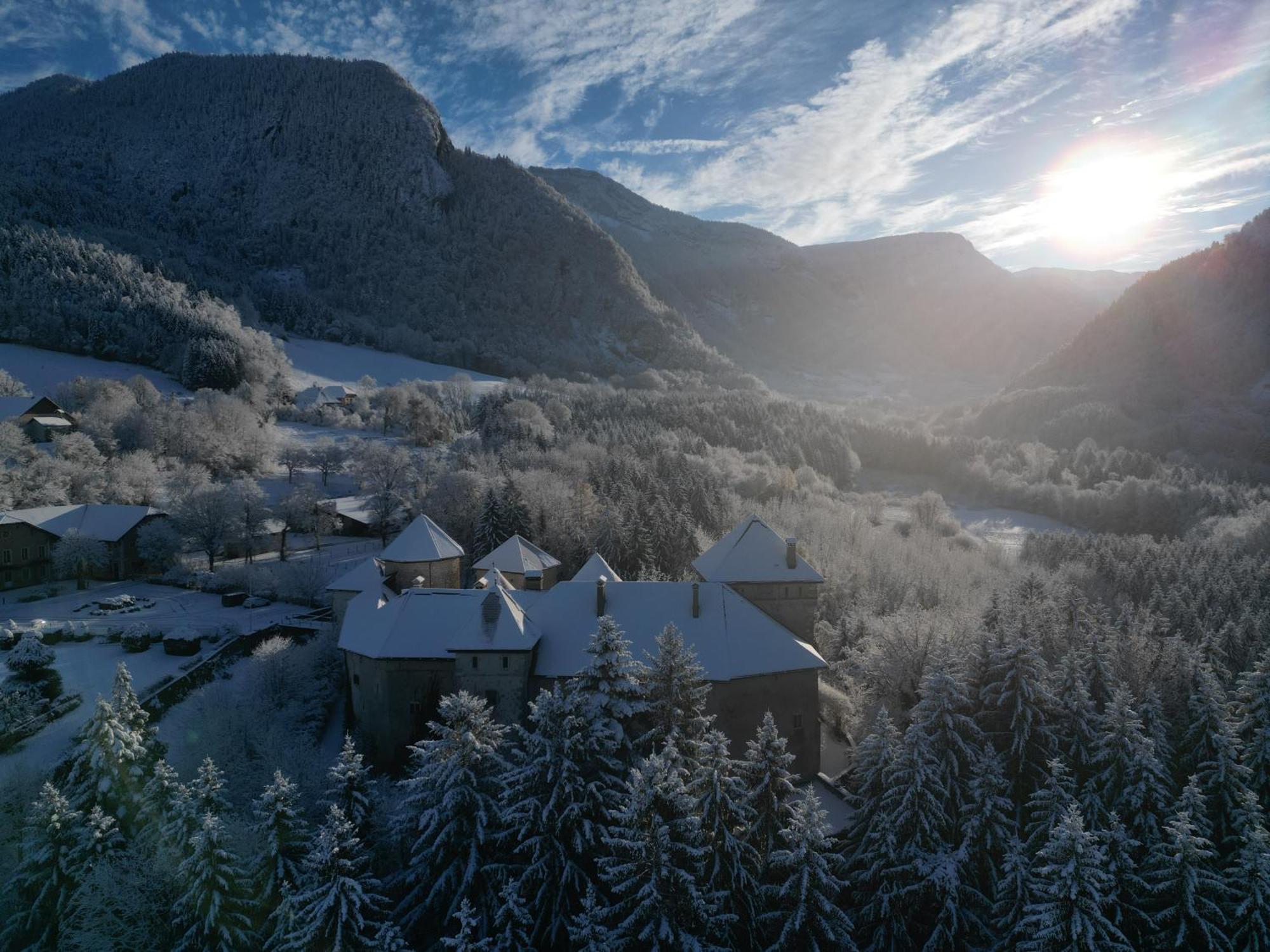 Chateau De Thorens Esterno foto