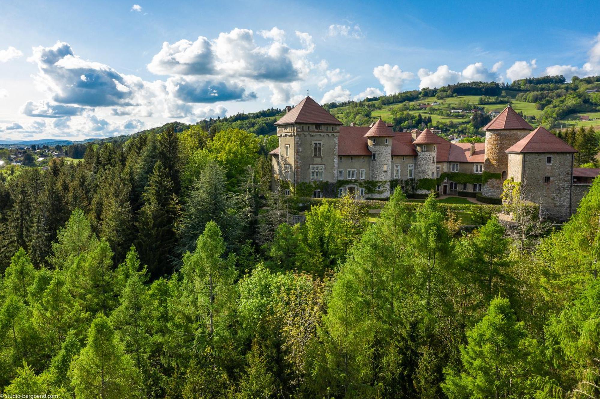 Chateau De Thorens Esterno foto