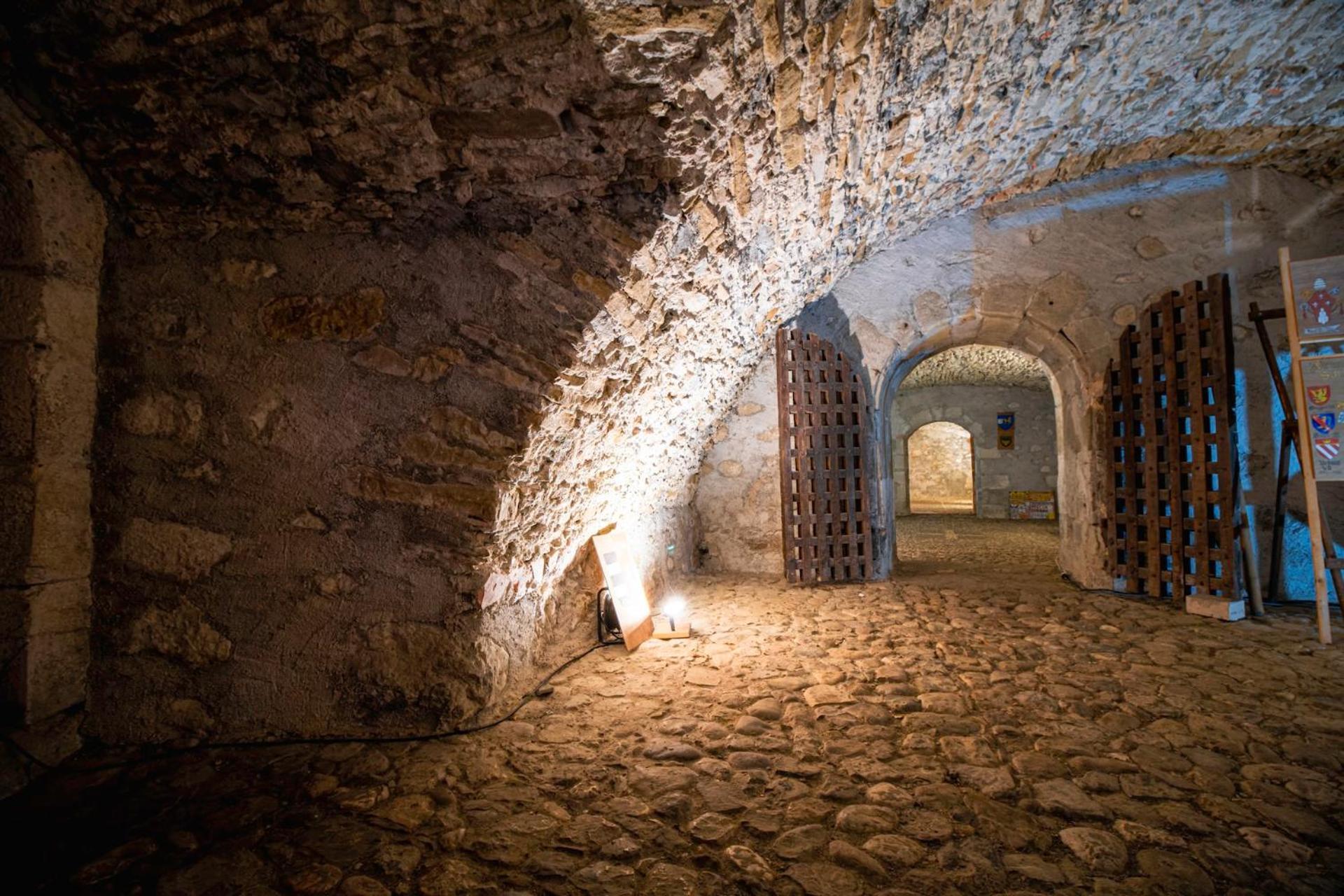 Chateau De Thorens Esterno foto